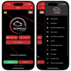 SDPROG diagnostyka w trybie serwisowym zrzut 2